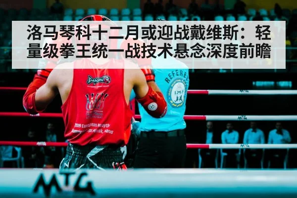洛马琴科十二月或迎战戴维斯：轻量级拳王统一战技术悬念深度前瞻